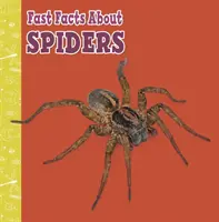 Curiosidades sobre arañas - Fast Facts About Spiders