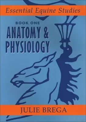 Anatomía y fisiología - Anatomy & Physiology