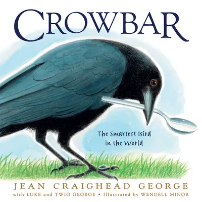 Crowbar: El pájaro más inteligente del mundo - Crowbar: The Smartest Bird in the World