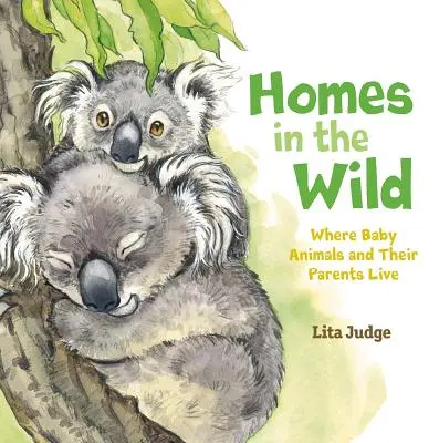 Hogares salvajes: donde viven los bebés y sus padres - Homes in the Wild: Where Baby Animals and Their Parents Live