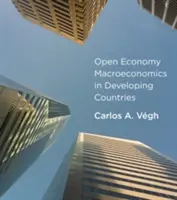 Macroeconomía de economía abierta en los países en desarrollo - Open Economy Macroeconomics in Developing Countries