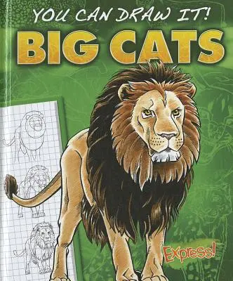 Grandes felinos - Big Cats