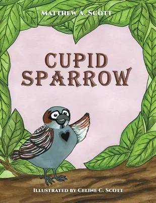 Cupido Gorrión - Cupid Sparrow