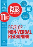 Practise & Pass 11+ Nivel Dos: Desarrollar el razonamiento no verbal - Practise & Pass 11+ Level Two: Develop Non-verbal Reasoning