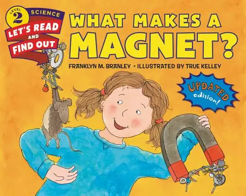 ¿Qué es un imán? - What Makes a Magnet?