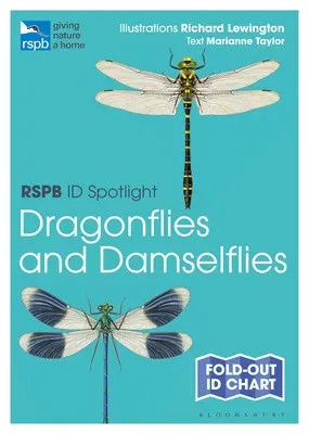 Rspb Id Spotlight - Libélulas y caballitos del diablo - Rspb Id Spotlight - Dragonflies and Damselflies