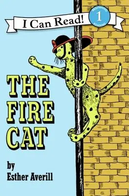 El gato de fuego - The Fire Cat