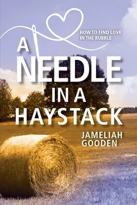 Una aguja en un pajar: Cómo encontrar el amor entre los escombros - A Needle in a Haystack: How to Find Love in the Rubble