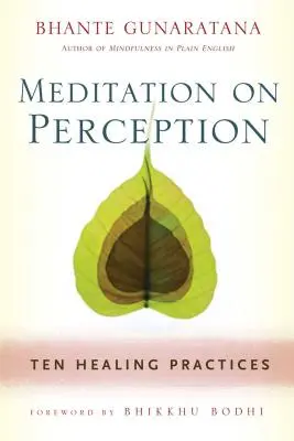 Meditación sobre la percepción: Diez prácticas curativas para cultivar la atención plena - Meditation on Perception: Ten Healing Practices to Cultivate Mindfulness