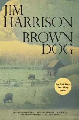 Perro pardo - Brown Dog