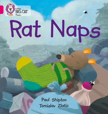 Siestas de ratas - Rat Naps