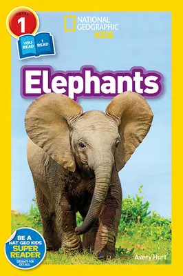 Elefantes - Elephants