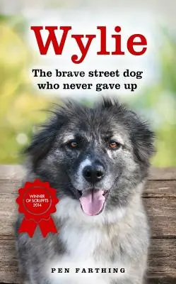 Wylie: El valiente perro callejero que nunca se rindió - Wylie: The Brave Street Dog Who Never Gave Up