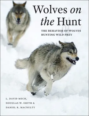 Lobos a la caza: El comportamiento de los lobos que cazan presas salvajes - Wolves on the Hunt: The Behavior of Wolves Hunting Wild Prey