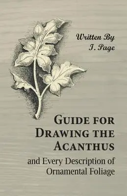 Guía para dibujar el acanto y toda descripción del follaje ornamental - Guide for Drawing the Acanthus, and Every Description of Ornamental Foliage