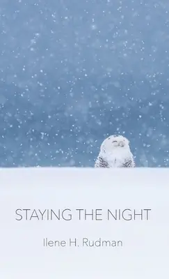 Pasar la noche - Staying The Night