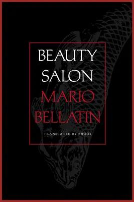 Salón de belleza - Beauty Salon