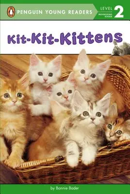 Kit-Kit-Gatitos - Kit-Kit-Kittens