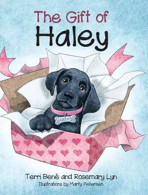 El Regalo de Haley - The Gift of Haley