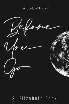 Antes de partir - Before You Go