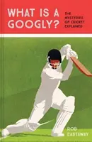 ¿Qué es un Googly? - Los misterios del críquet explicados - What is a Googly? - The Mysteries of Cricket Explained