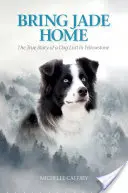 Bring Jade Home: La verdadera historia de un perro perdido en Yellowstone - Bring Jade Home: The True Story of a Dog Lost in Yellowstone