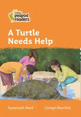 Nivel 4 - Una tortuga necesita ayuda - Level 4 - A Turtle Needs Help