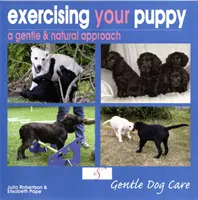 Cómo ejercitar a su cachorro - Exercising Your Puppy