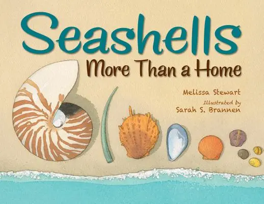 Conchas marinas: Más que un hogar - Seashells: More Than a Home