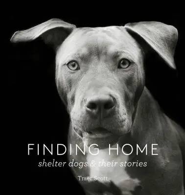 Finding Home: Shelter Dogs and Their Stories (Un tributo fotográfico a los perros de rescate) - Finding Home: Shelter Dogs and Their Stories (a Photographic Tribute to Rescue Dogs)