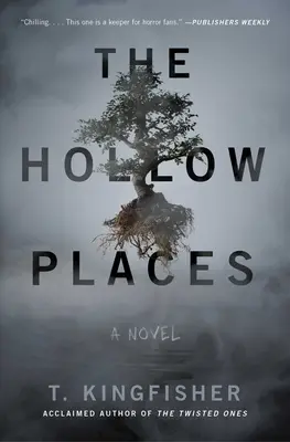 Los lugares huecos - The Hollow Places