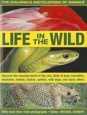 La enciclopedia infantil de los animales: La vida en la naturaleza: Descubre el asombroso mundo de los grandes felinos, las aves rapaces, los cocodrilos, los elefantes, los insectos, las arañas y los reptiles. - The Children's Encyclopedia of Animals: Life in the Wild: Discover the Amazing World of Big Cats, Birds of Prey, Crocodiles, Elephants, Insects, Spide