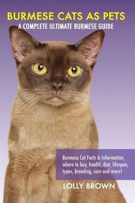 Gatos birmanos como mascotas: Datos e información sobre los gatos birmanos, dónde comprarlos, salud, dieta, vida útil, tipos, cría, cuidados ¡y mucho más! Un completo Ulti - Burmese Cats as Pets: Burmese Cat Facts & Information, where to buy, health, diet, lifespan, types, breeding, care and more! A Complete Ulti