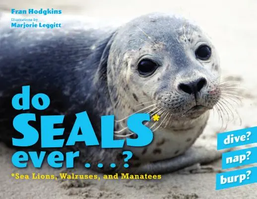 ¿Las focas alguna vez...? ? - Do Seals Ever . . . ?