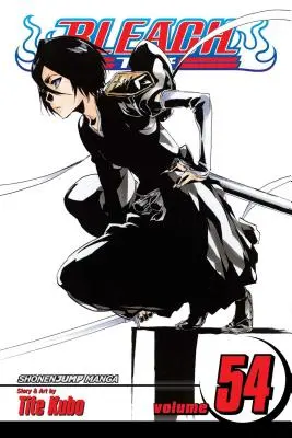 Bleach, Vol. 54, 54