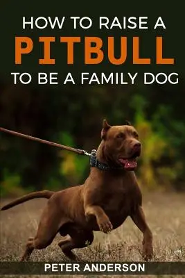 Cómo educar a un Pitbull para que sea un perro de familia - How To Raise A Pitbull To Be A Familly Dog