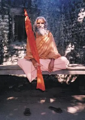 Dandi Swami: La Historia de la Voluntad del Gurú, Maharishi Mahesh Yogi, los Shankaracharyas de Jyotir Math, y Encuentros con Dandi Swami N - Dandi Swami: The Story of the Guru's Will, Maharishi Mahesh Yogi, the Shankaracharyas of Jyotir Math, & Meetings with Dandi Swami N