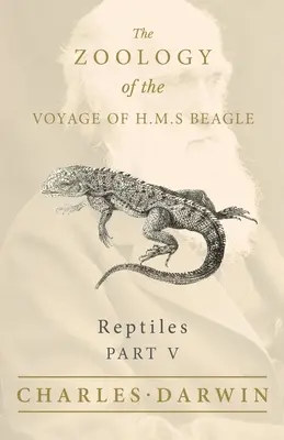 Reptiles - Parte V - La Zoología del Viaje del H.M.S Beagle - Reptiles - Part V - The Zoology of the Voyage of H.M.S Beagle