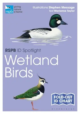 Rspb Id Spotlight - Aves de humedales - Rspb Id Spotlight - Wetland Birds