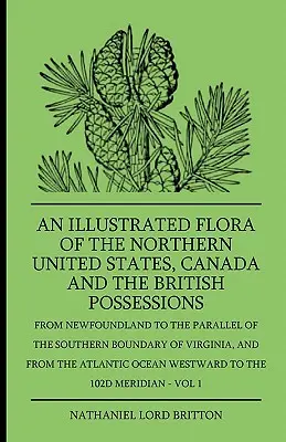 Una Flora Ilustrada Del Norte De Los Estados Unidos, Canadá Y Las Posesiones Británicas - Desde Terranova Hasta El Paralelo Del Límite Sur De Los Estados Unidos - An Illustrated Flora Of The Northern United States, Canada And The British Possessions - From Newfoundland To The Parallel Of The Southern Boundary Of