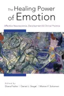 El poder curativo de las emociones: Neurociencia afectiva, desarrollo y práctica clínica - The Healing Power of Emotion: Affective Neuroscience, Development and Clinical Practice