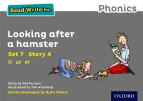 Read Write Inc. Phonics: Grey Set 7 Libro de cuentos 4 Cuidar de un hámster - Read Write Inc. Phonics: Grey Set 7 Storybook 4 Looking After a Hamster