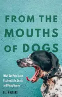 De boca de perro: lo que nuestras mascotas nos enseñan sobre la vida, la muerte y el ser humano - From the Mouths of Dogs: What Our Pets Teach Us about Life, Death, and Being Human