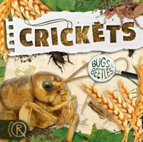 Grillos - Crickets