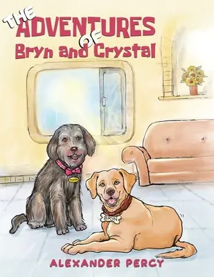 Las aventuras de Bryn y Crystal - The Adventures of Bryn and Crystal