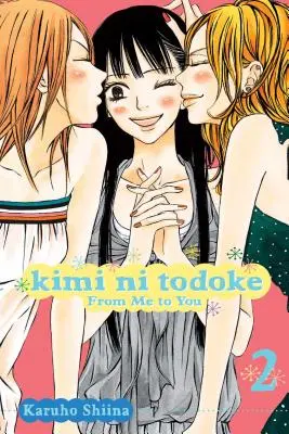 Kimi Ni Todoke: From Me to You, Vol. 2, 2