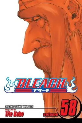 Bleach, Vol. 58, 58