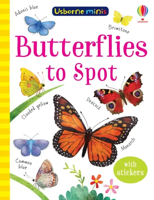 Mariposas para descubrir - Butterflies to Spot