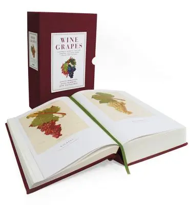 Uvas de vino: Guía completa de 1.368 variedades de vid, con sus orígenes y sabores - Wine Grapes: A Complete Guide to 1,368 Vine Varieties, Including Their Origins and Flavours