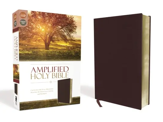 Biblia Amplificada-Am: Captura todo el significado del original griego y hebreo - Amplified Bible-Am: Captures the Full Meaning Behind the Original Greek and Hebrew